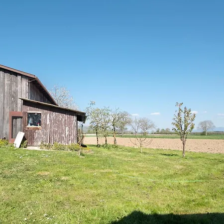 Schwarzwaldblick Daire Breisach