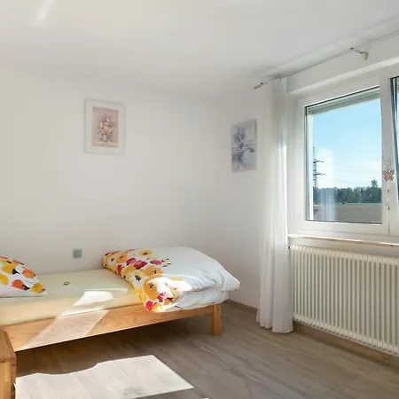 Schwarzwaldblick * Breisach