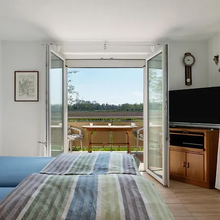 Schwarzwaldblick Appartement Breisach