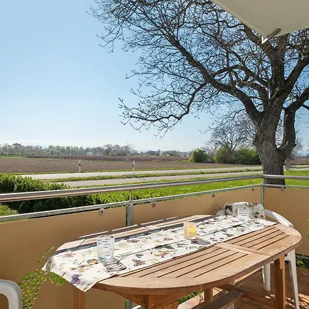 Schwarzwaldblick Appartement Breisach
