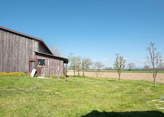 Schwarzwaldblick Apartman Breisach