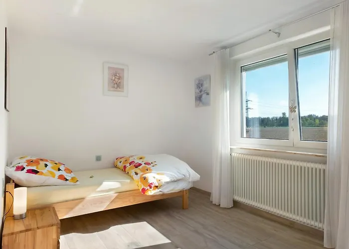 Schwarzwaldblick * Breisach