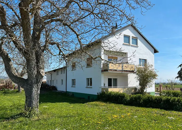 Schwarzwaldblick Breisach